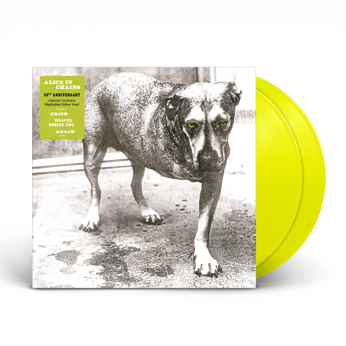 Vinilo Alice in Chains - Alice in Chains Edición 30 Aniversario