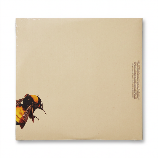 CD Tyler, the Creator - Flower Boy